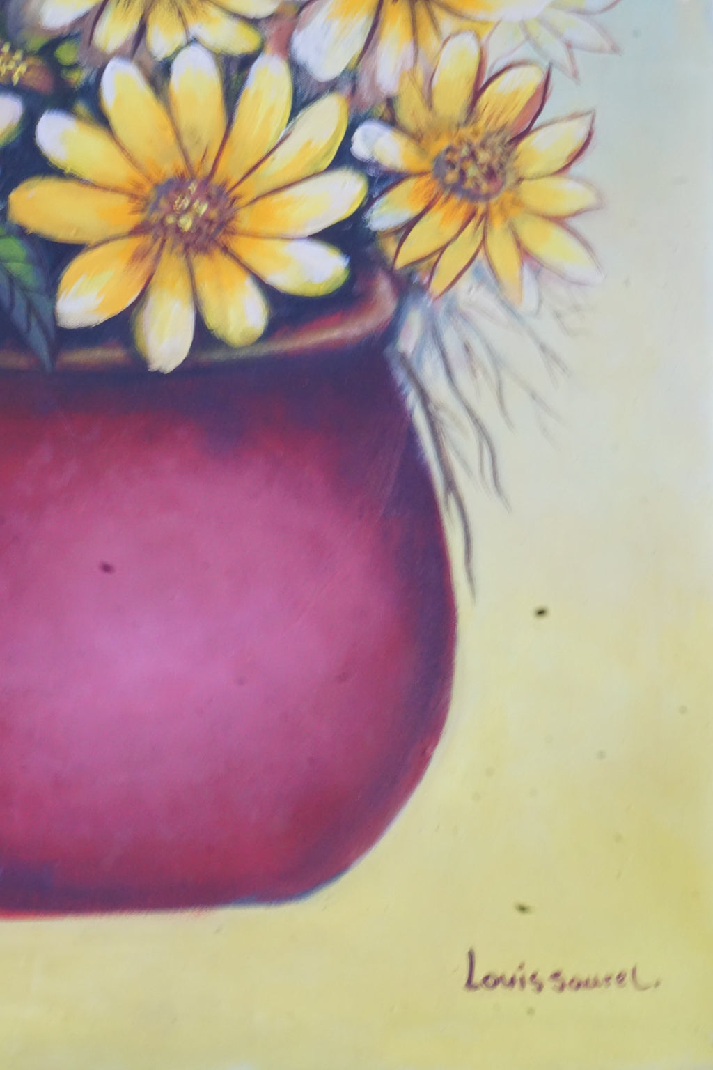 Flower pot of Daisy