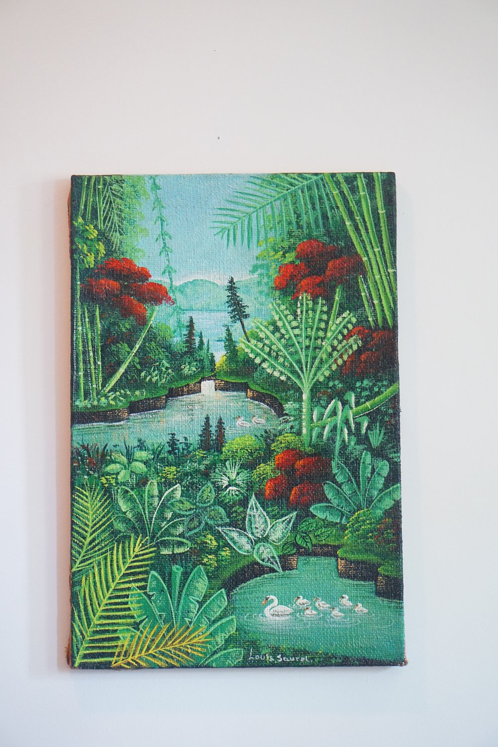 Jungle Serenity: River, Ponds, and the dance of Ducks