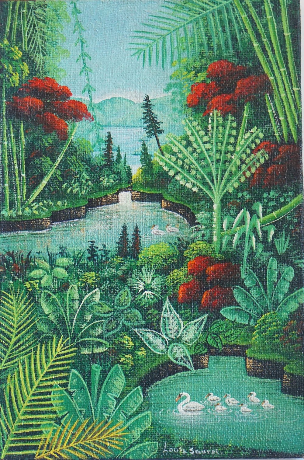 Jungle Serenity: River, Ponds, and the dance of Ducks