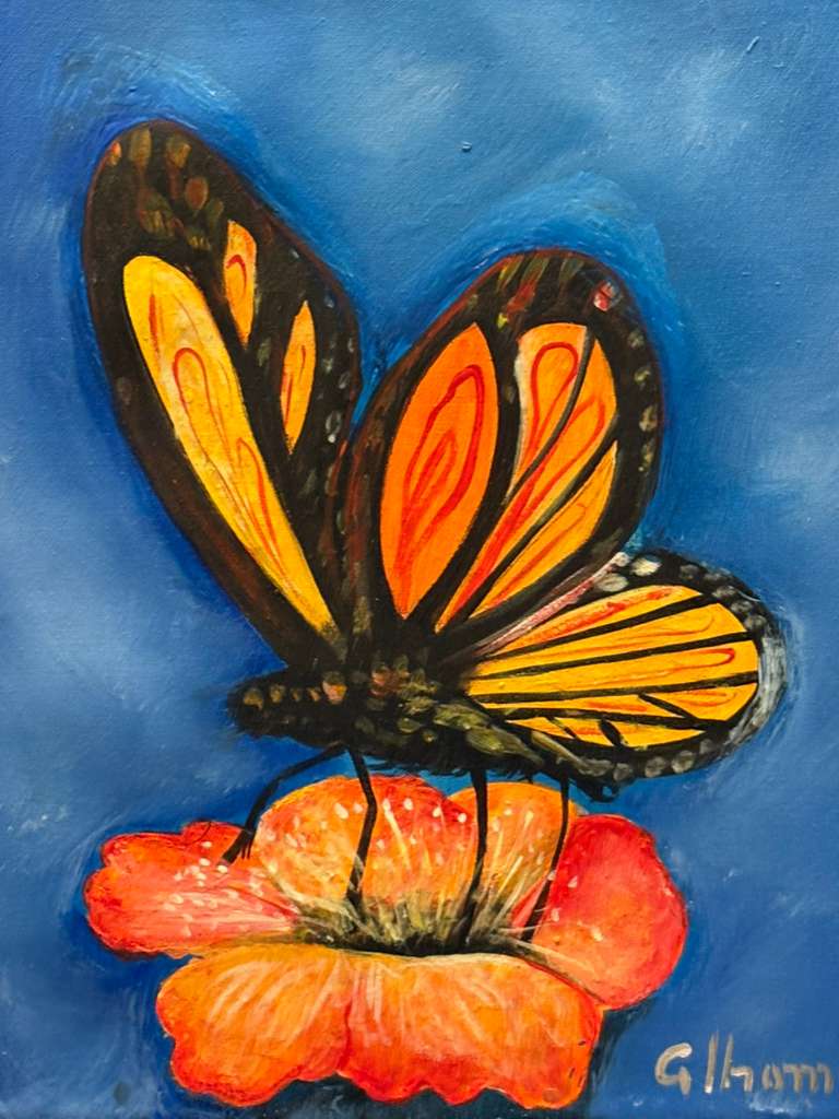 Papillon La St Jean